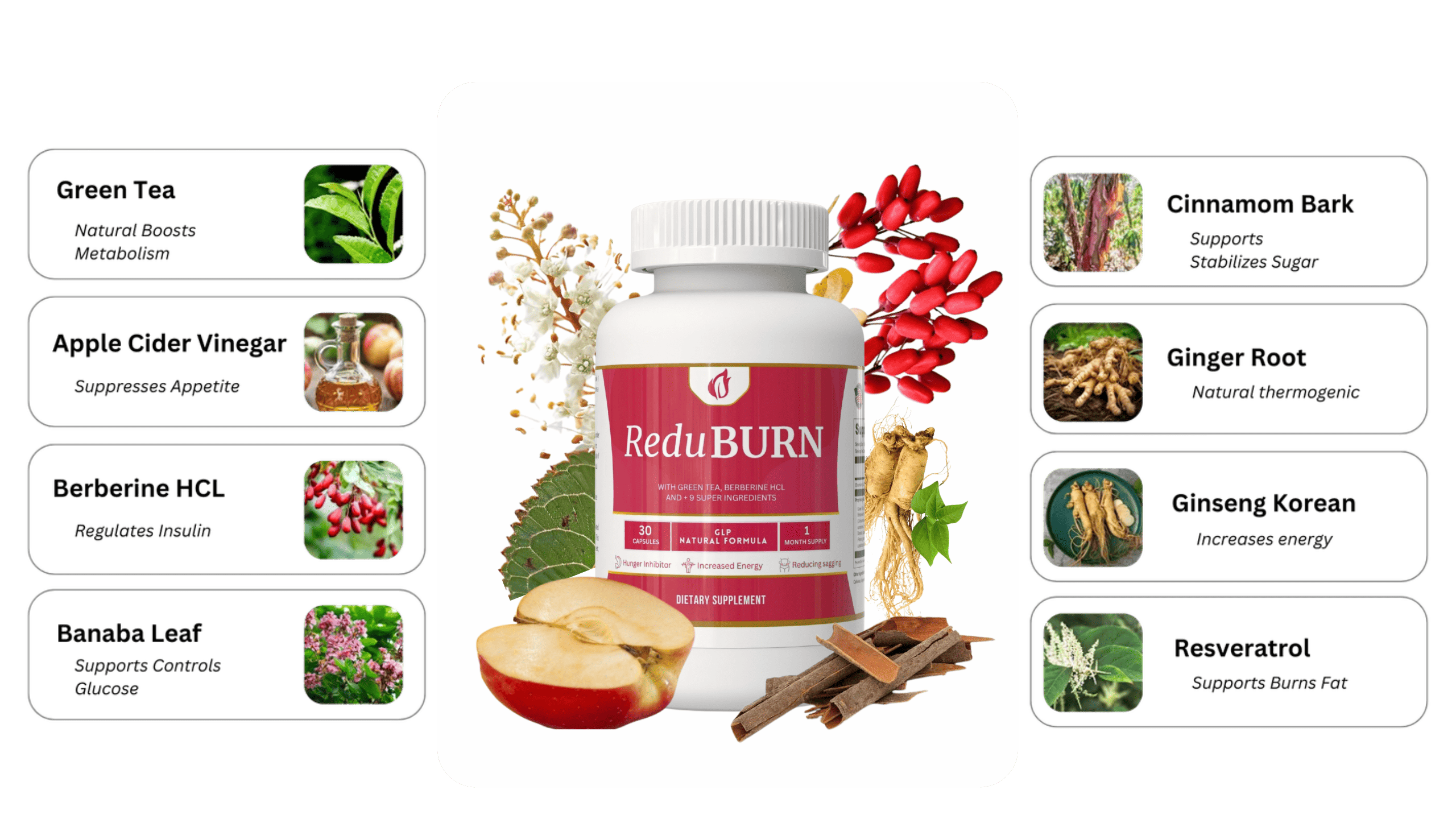 ReduBurn Certification